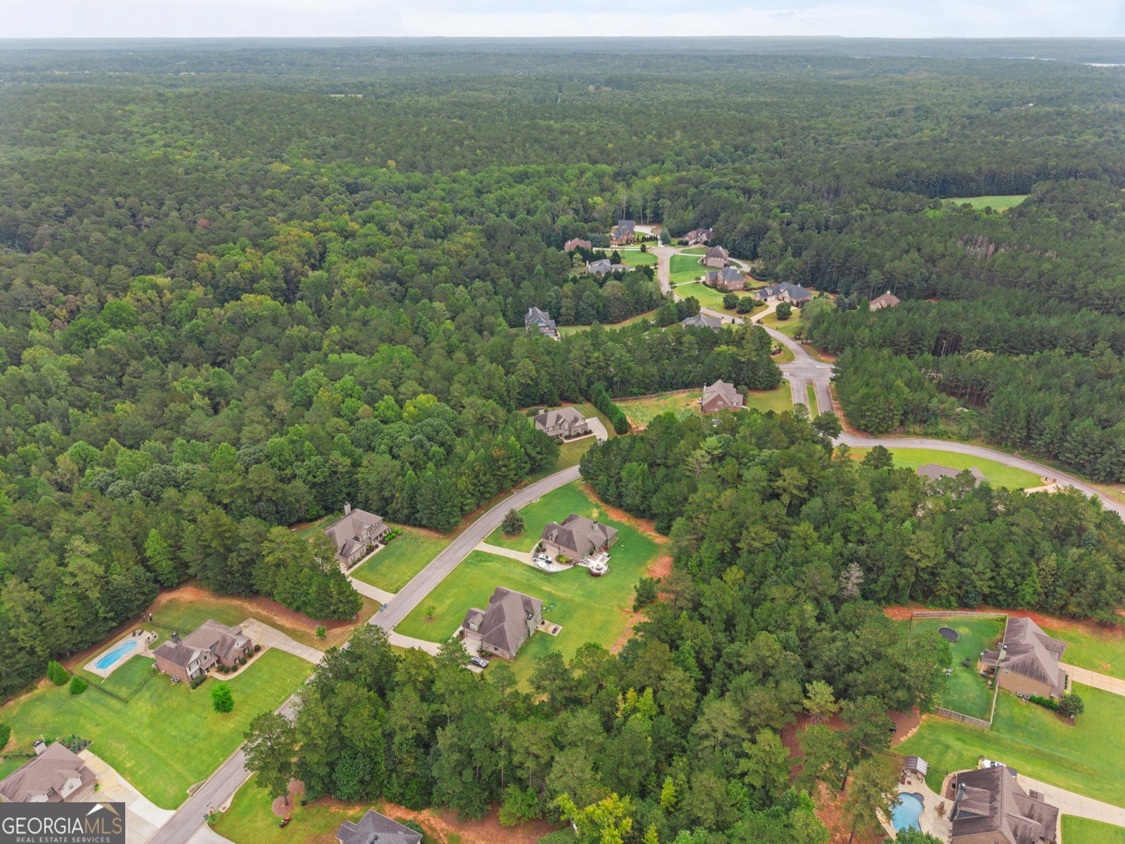 233 Arborview Drive McDonough - Photo 61