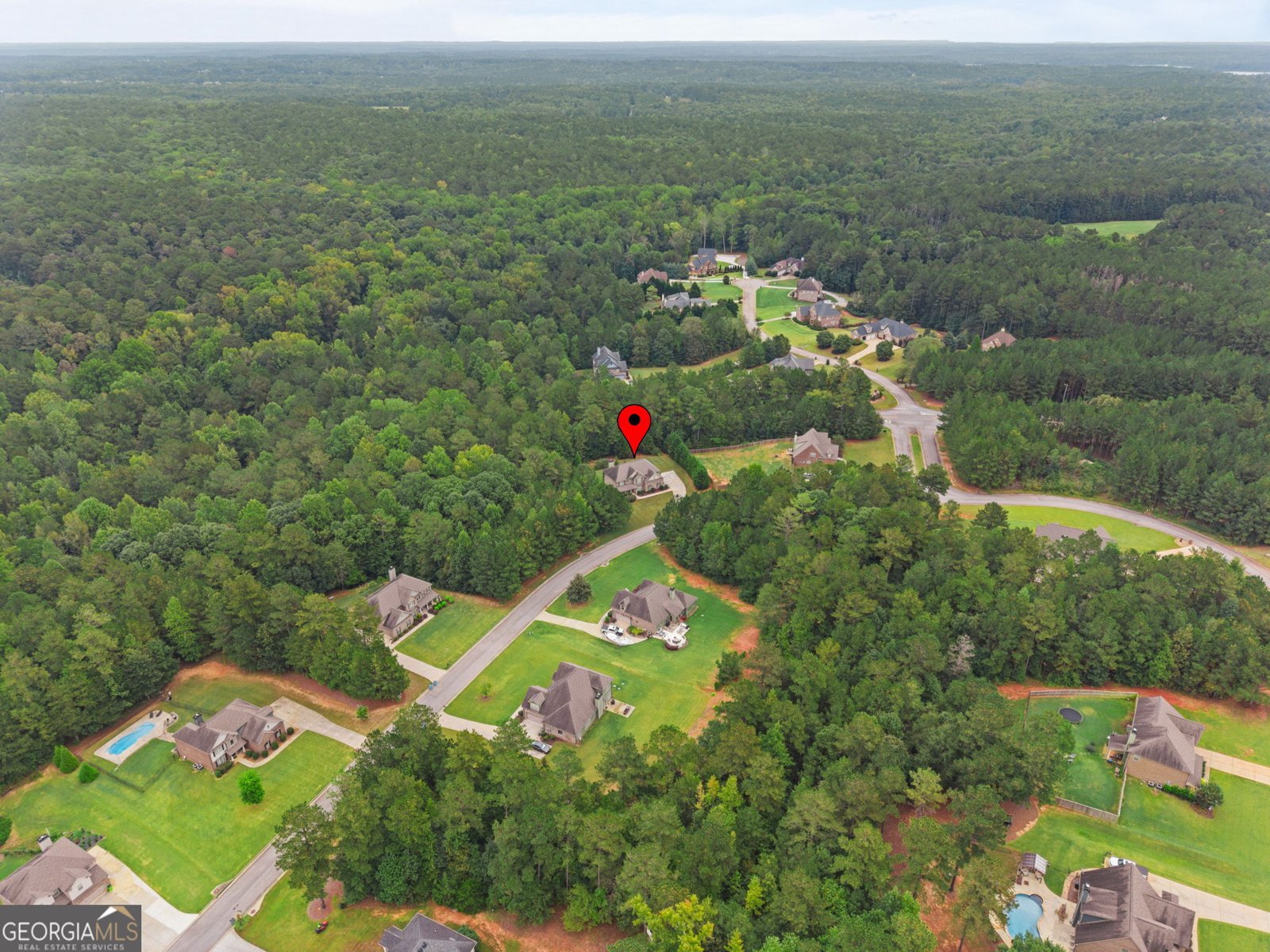 233 Arborview Drive McDonough - Photo 62