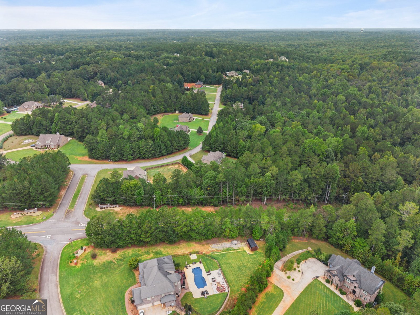 233 Arborview Drive McDonough - Photo 63