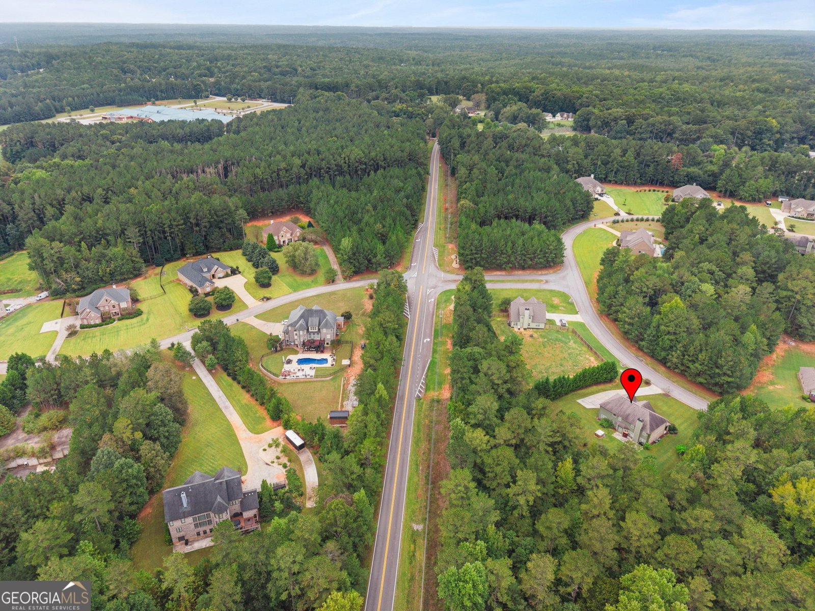 233 Arborview Drive McDonough - Photo 65