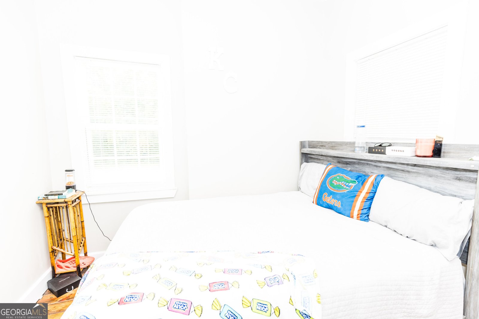 407 Harvey Street Millen - Photo 44