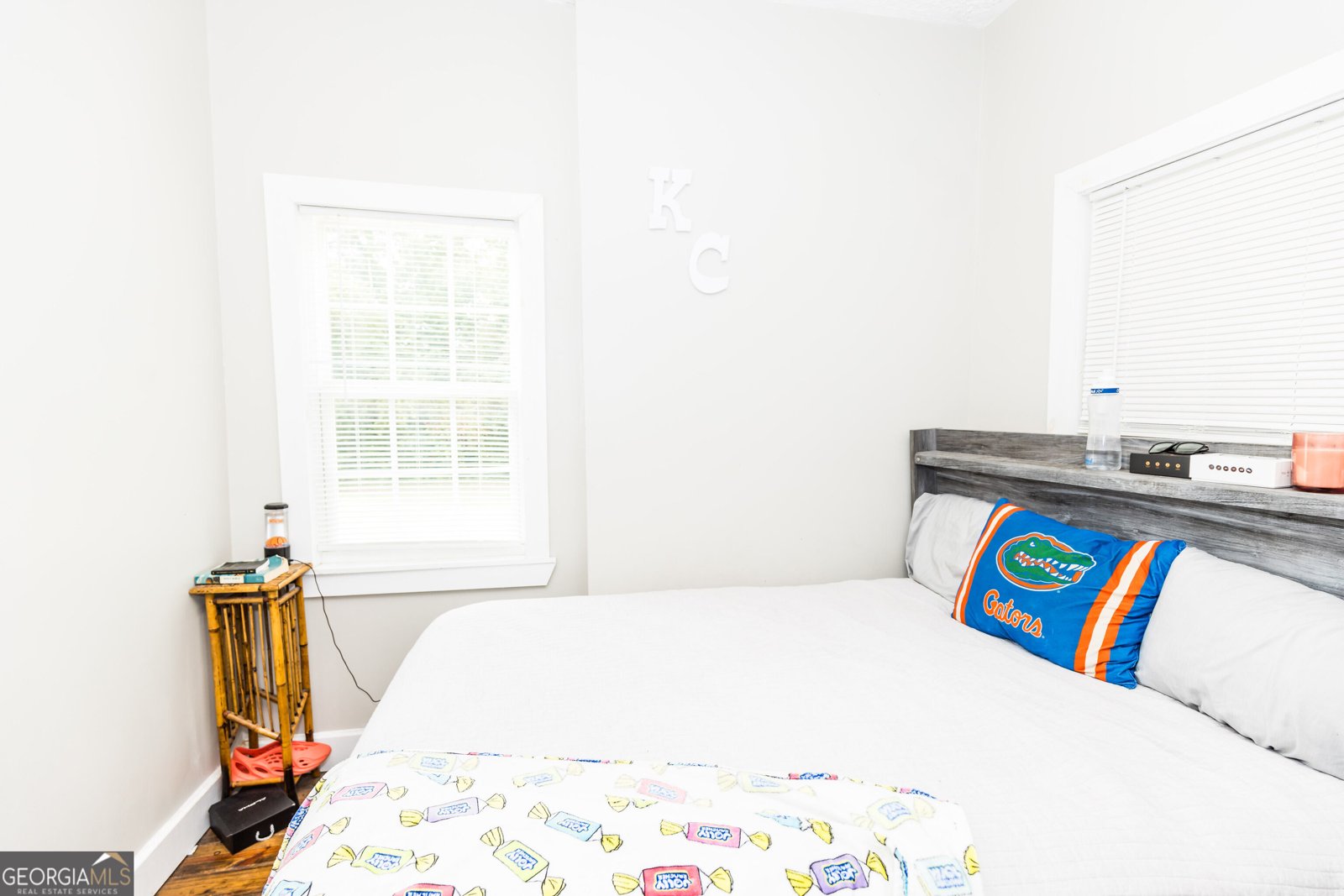 407 Harvey Street Millen - Photo 45