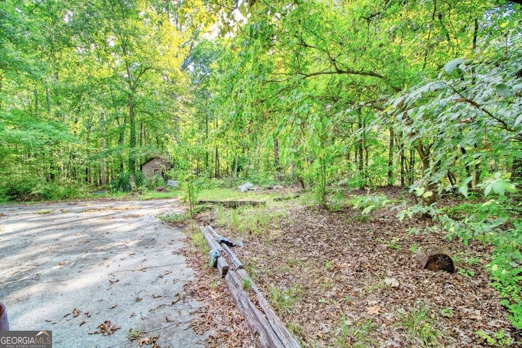 1847 W Hightower Trial Conyers - Photo 43