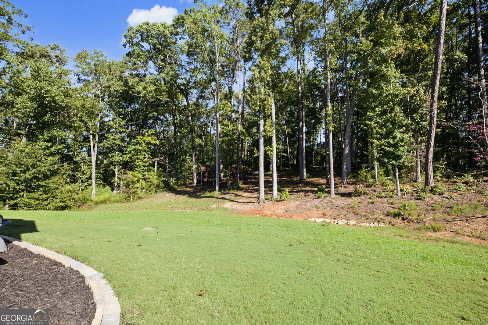 97 Brinley Drive Sharpsburg - Photo 43