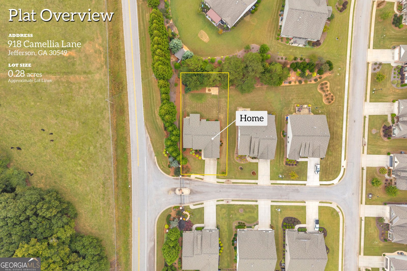 918 Camellia Lane Jefferson - Photo 49