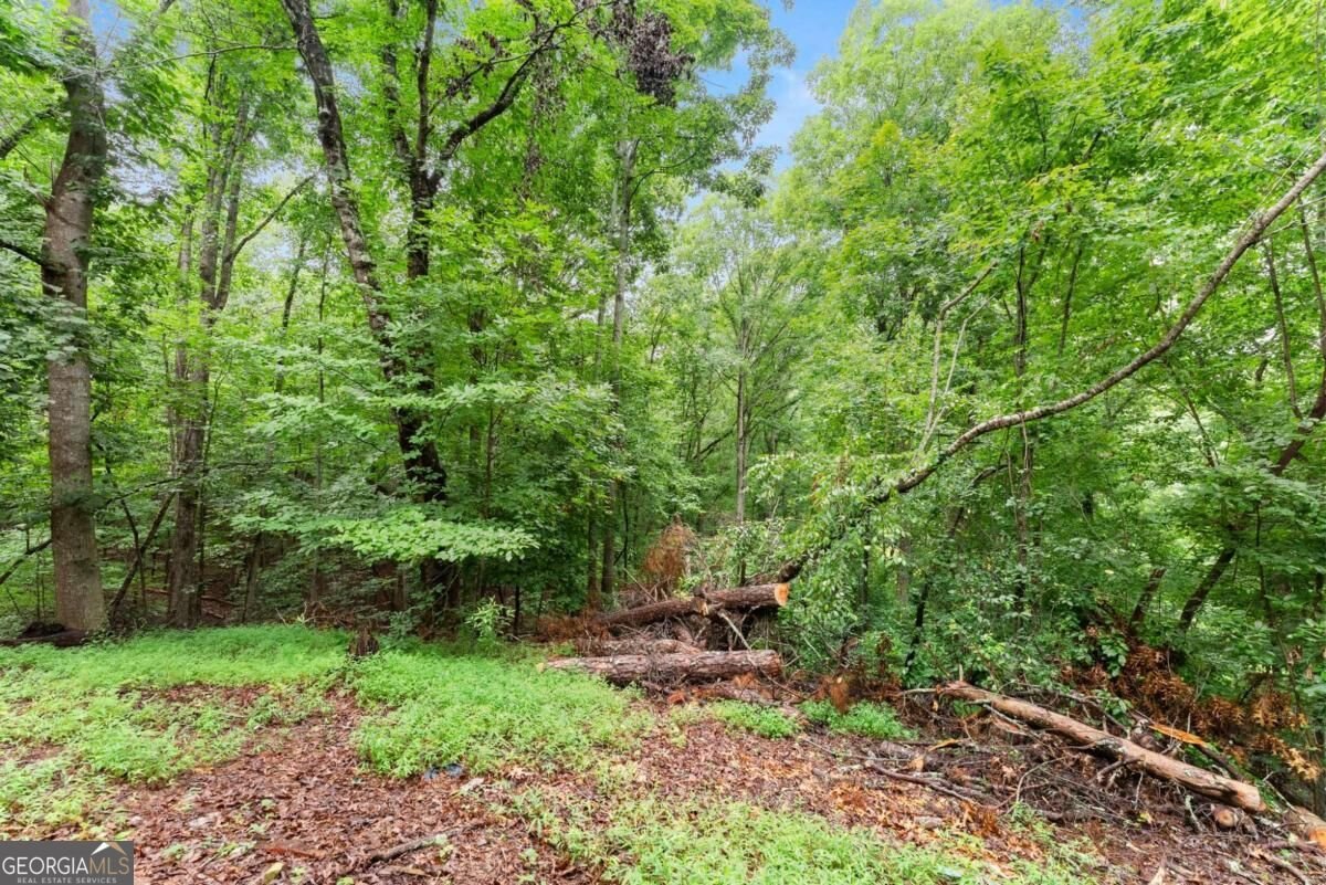 195 Golden Avenue Dahlonega - Photo 39