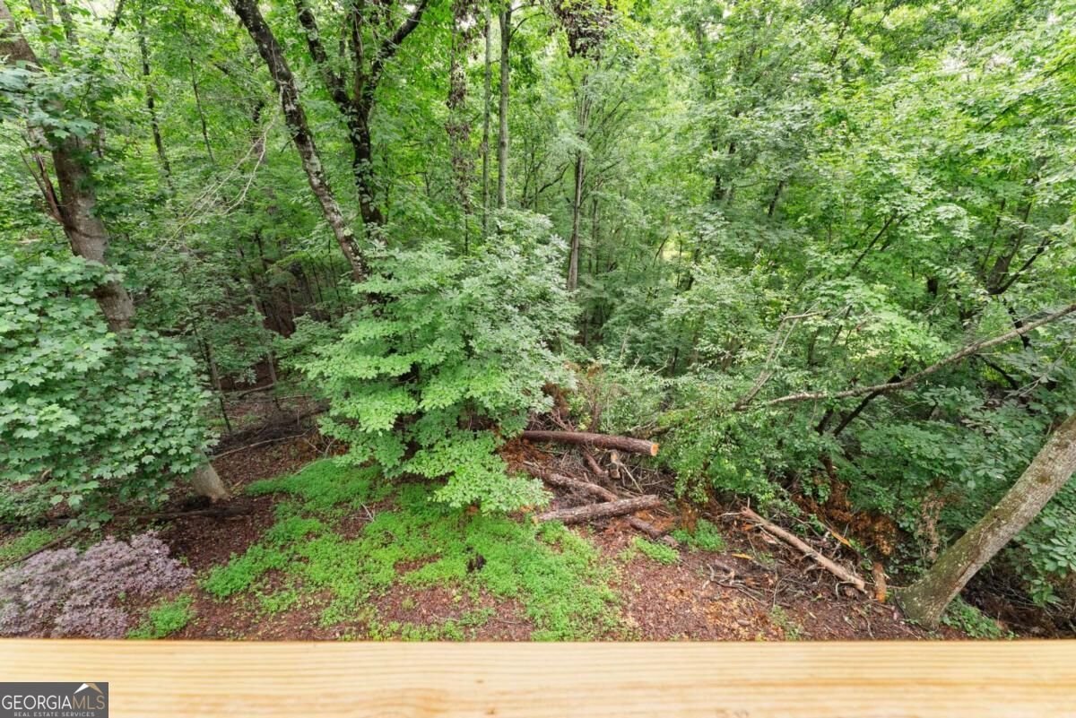 195 Golden Avenue Dahlonega - Photo 41