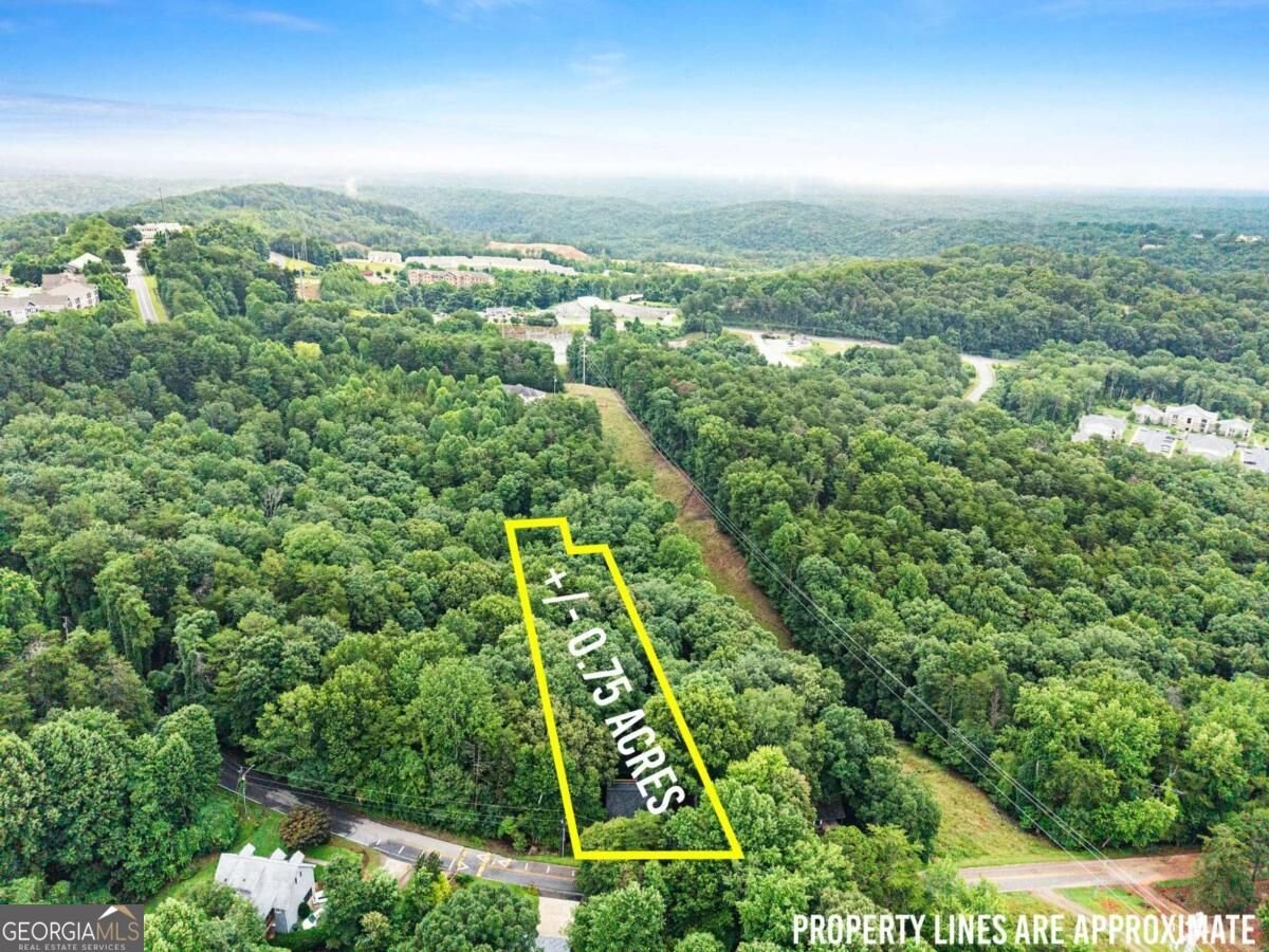 195 Golden Avenue Dahlonega - Photo 46