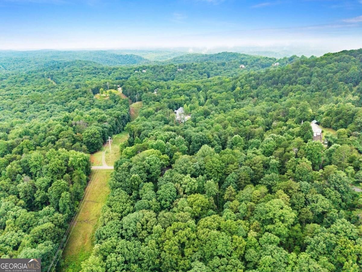 195 Golden Avenue Dahlonega - Photo 48