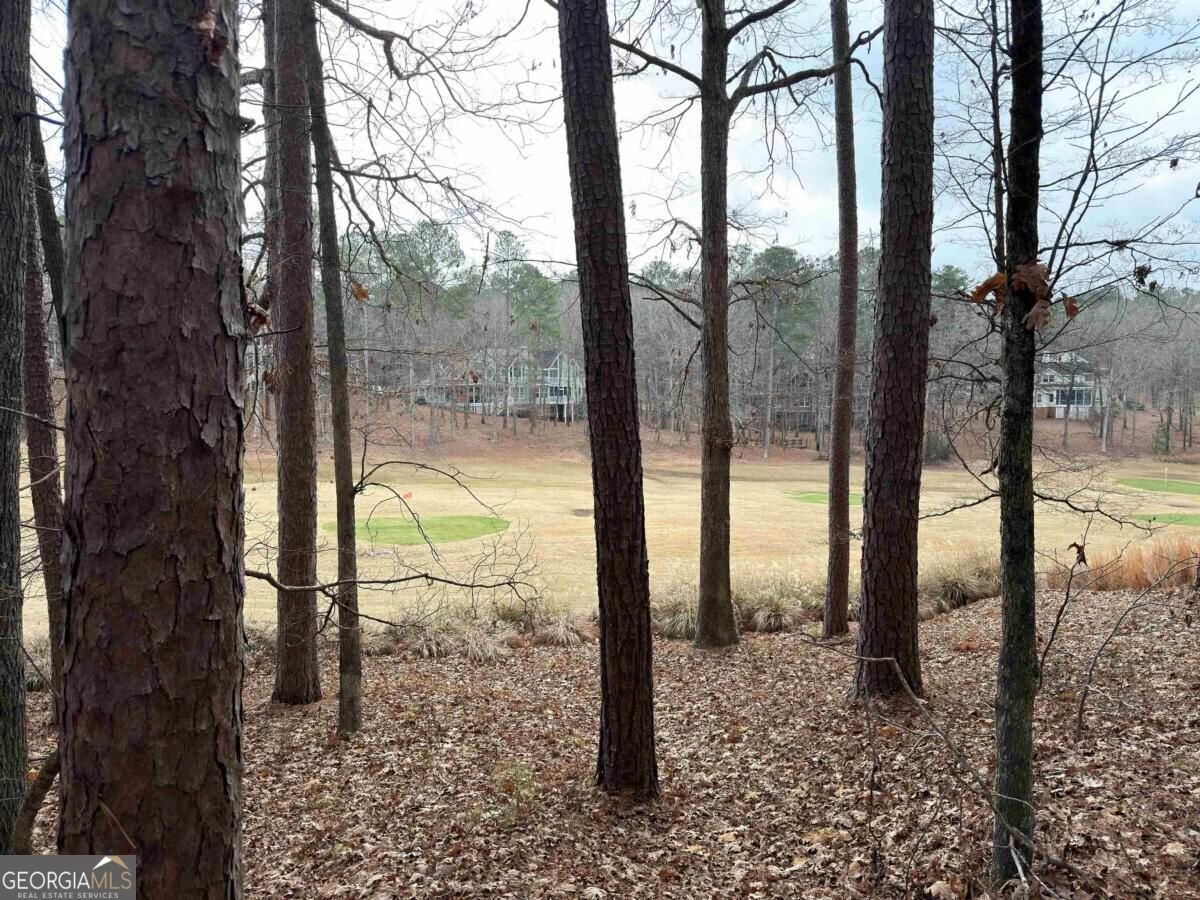 1030 Cupp Lane Greensboro - Photo 13