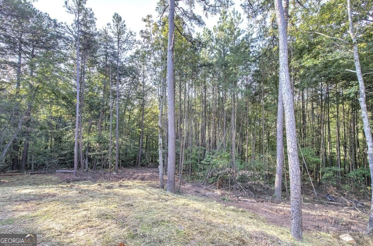 7467 Yukon Road Talking Rock - Photo 42