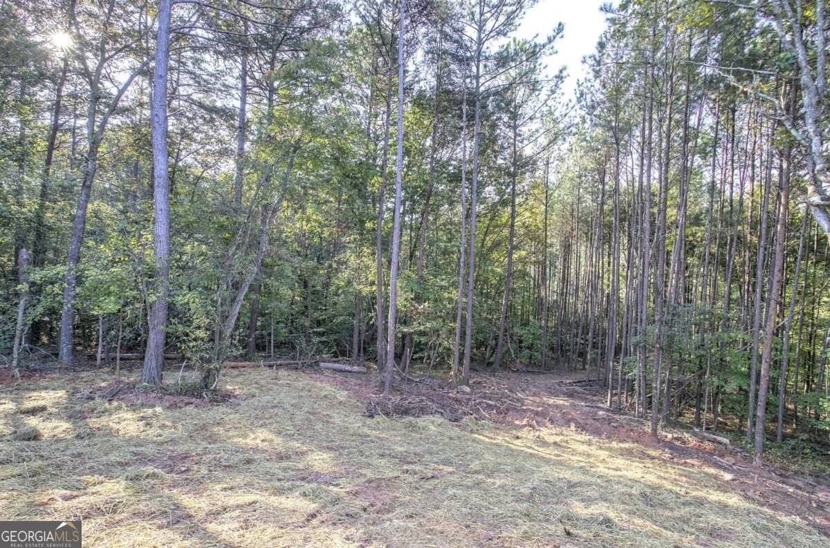 7467 Yukon Road Talking Rock - Photo 44