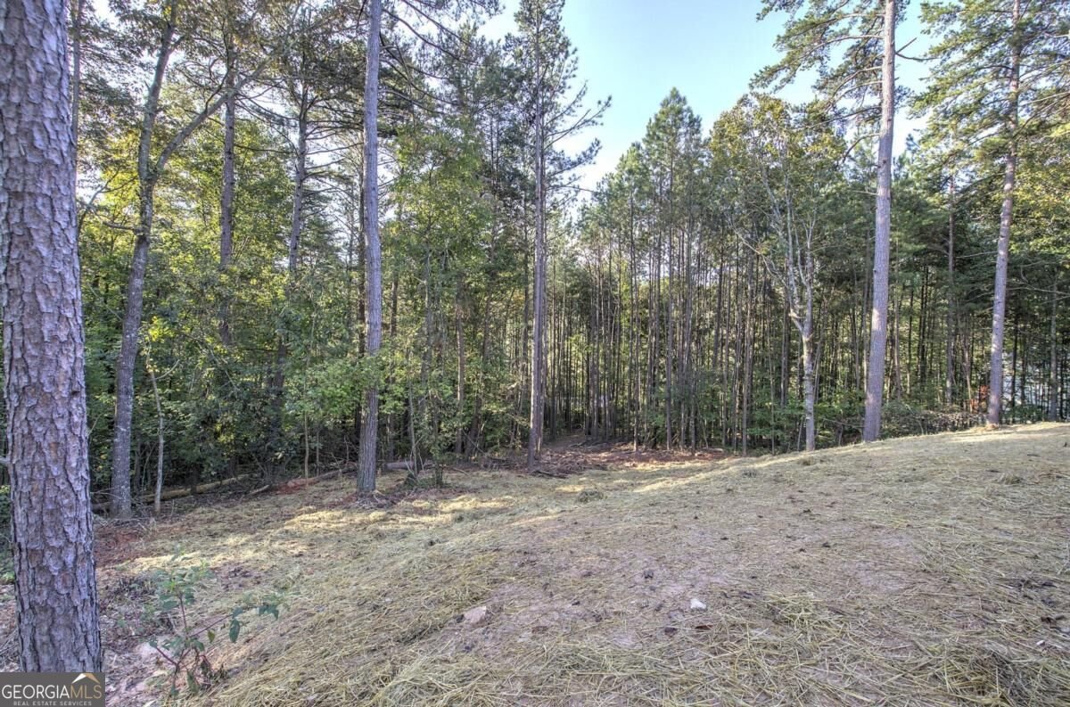 7467 Yukon Road Talking Rock - Photo 46