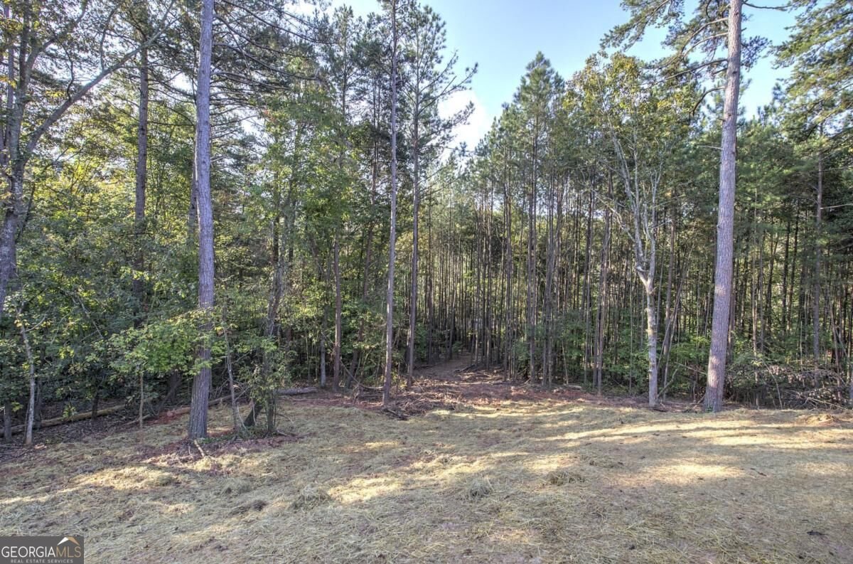 7467 Yukon Road Talking Rock - Photo 54