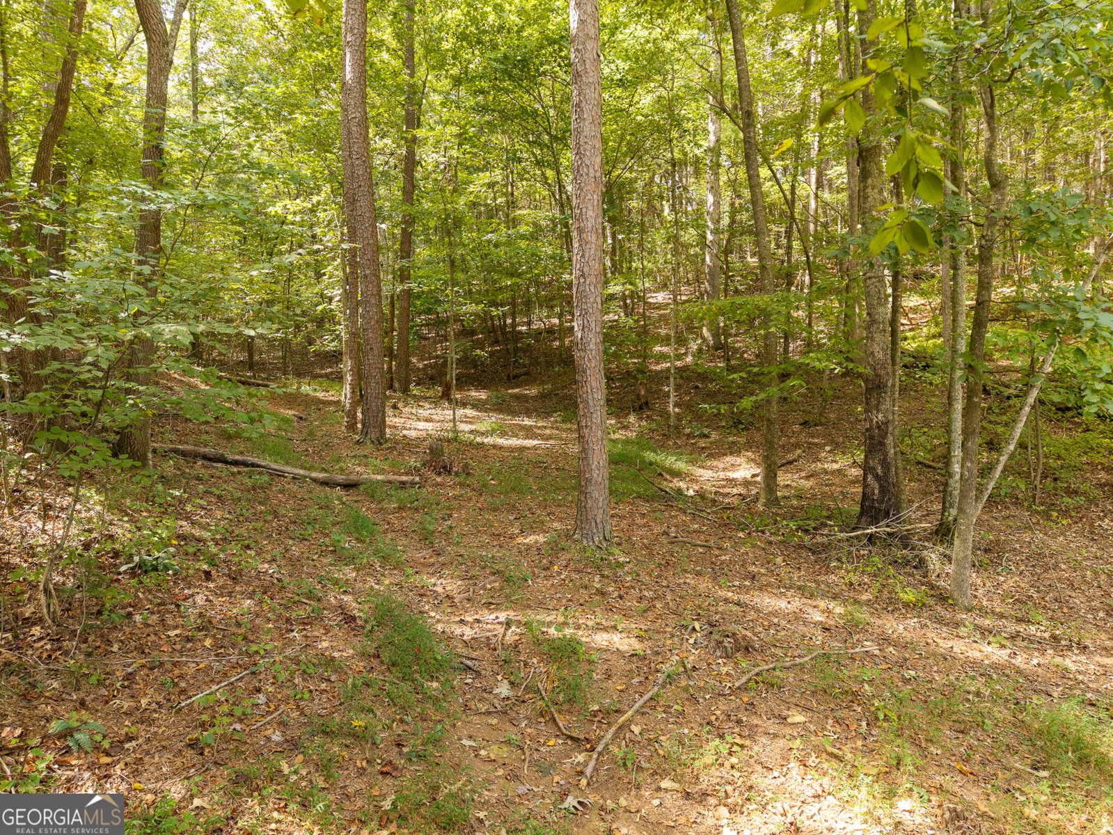 54 Cunningham Mountain Road Ellijay - Photo 26