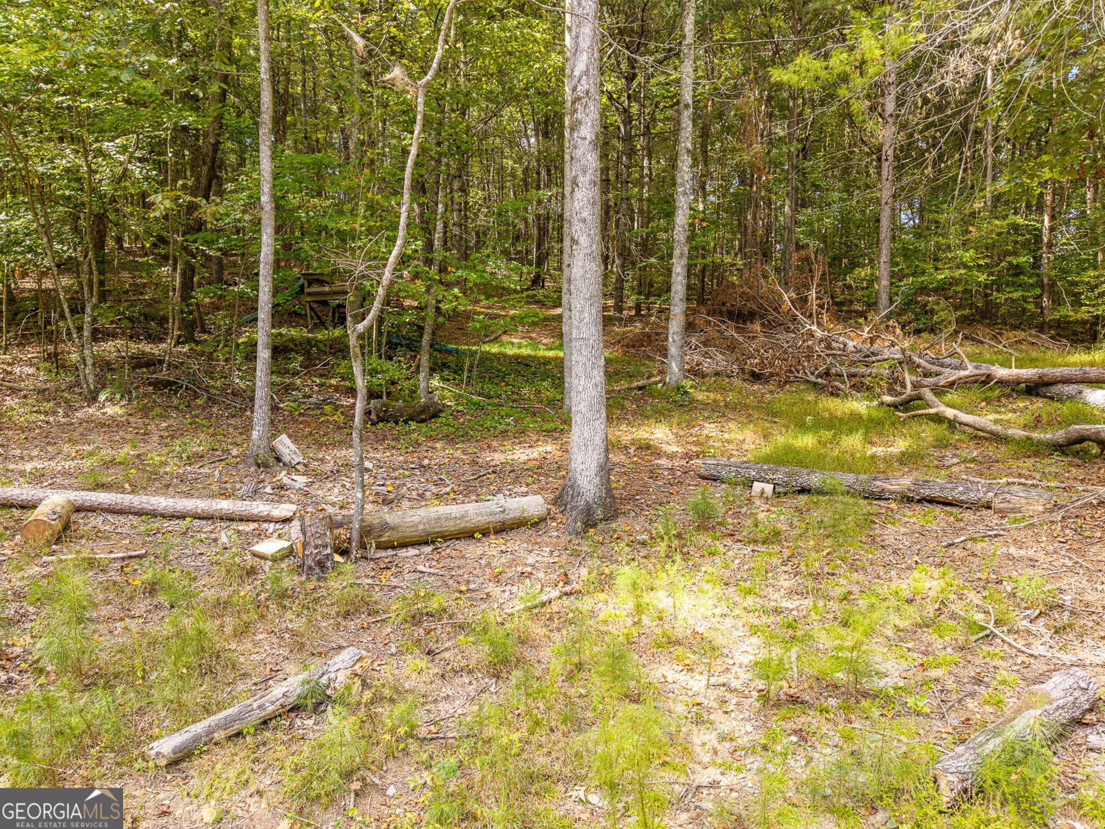 54 Cunningham Mountain Road Ellijay - Photo 27