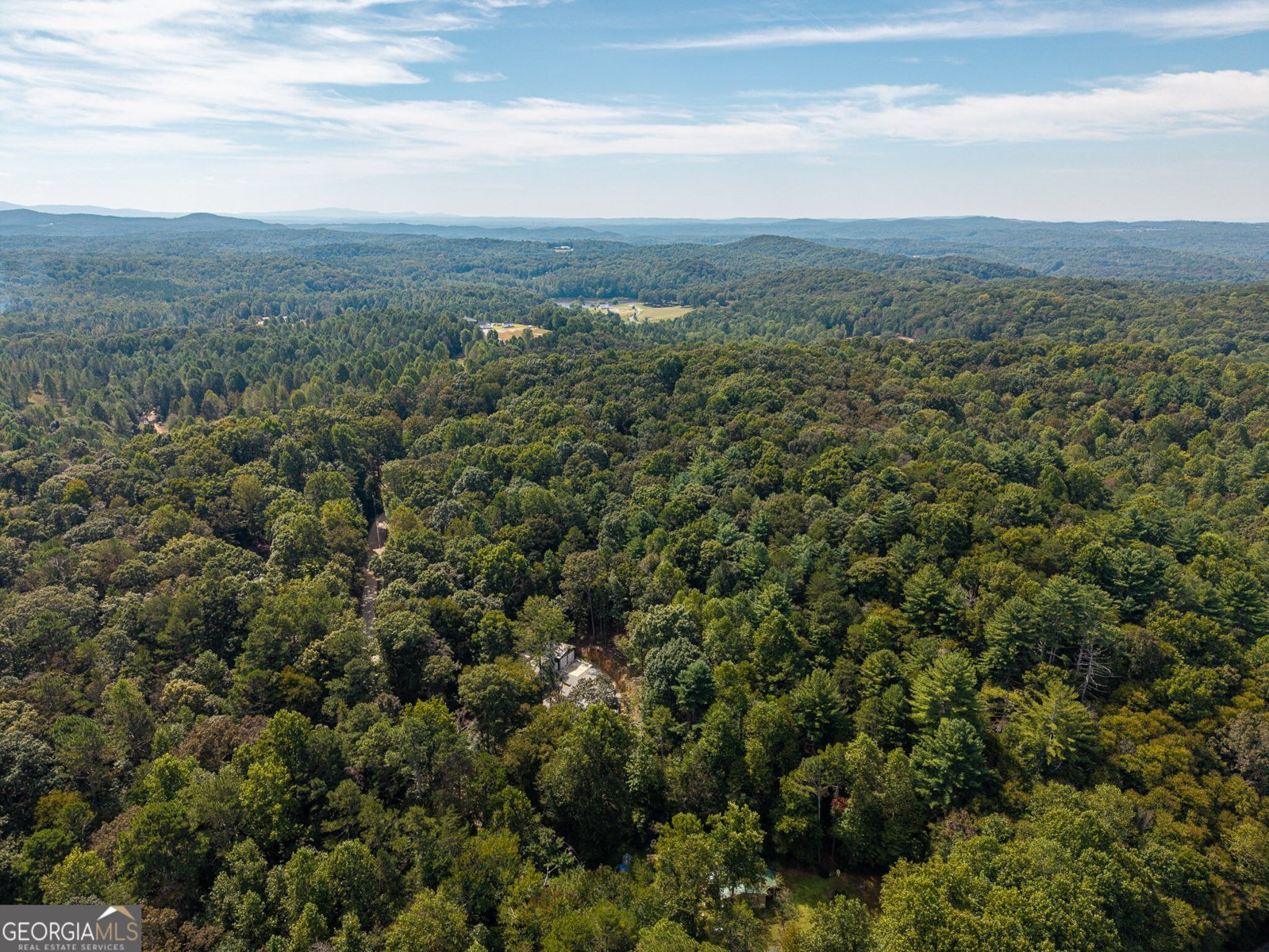 54 Cunningham Mountain Road Ellijay - Photo 30