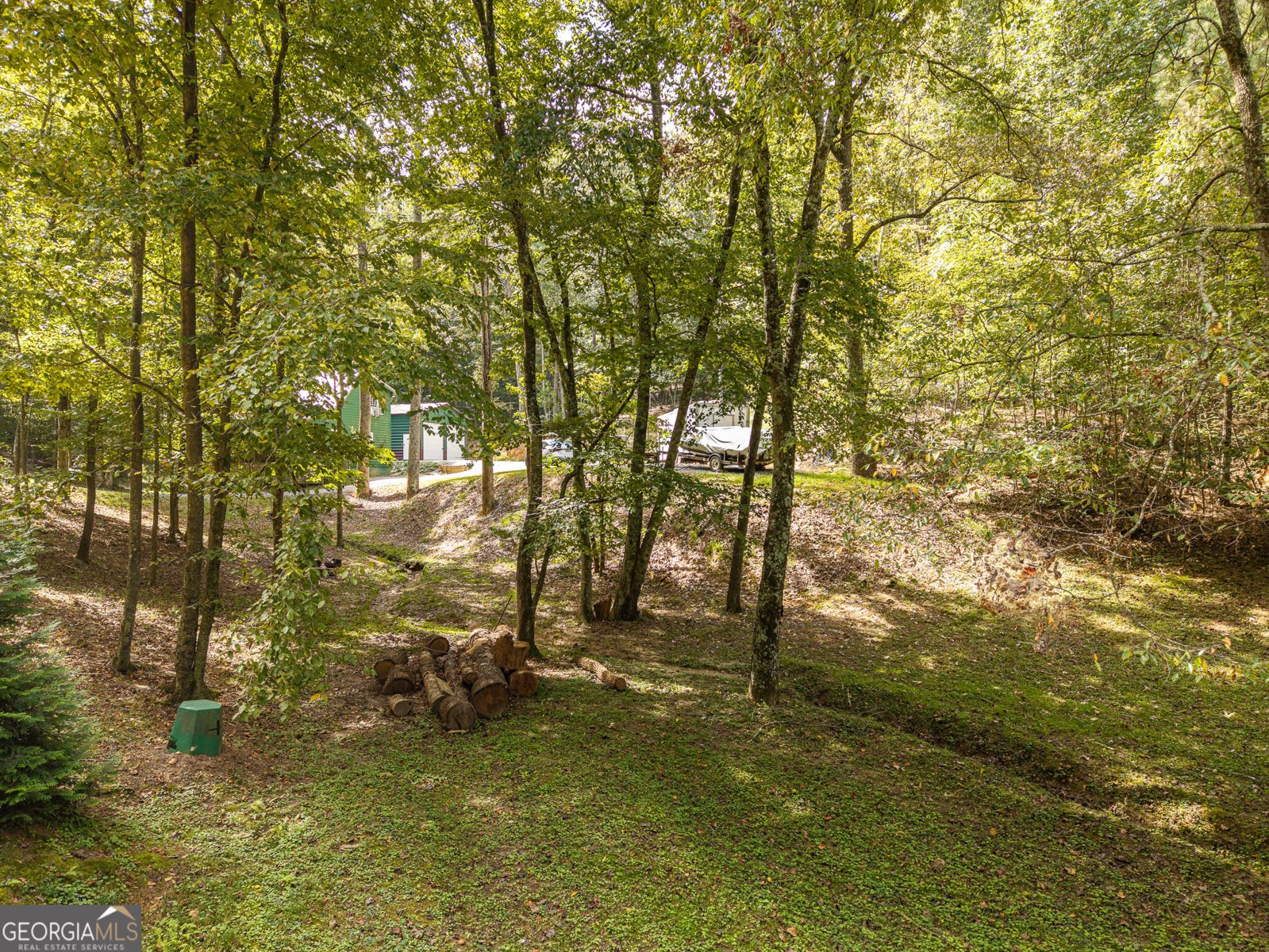 54 Cunningham Mountain Road Ellijay - Photo 33