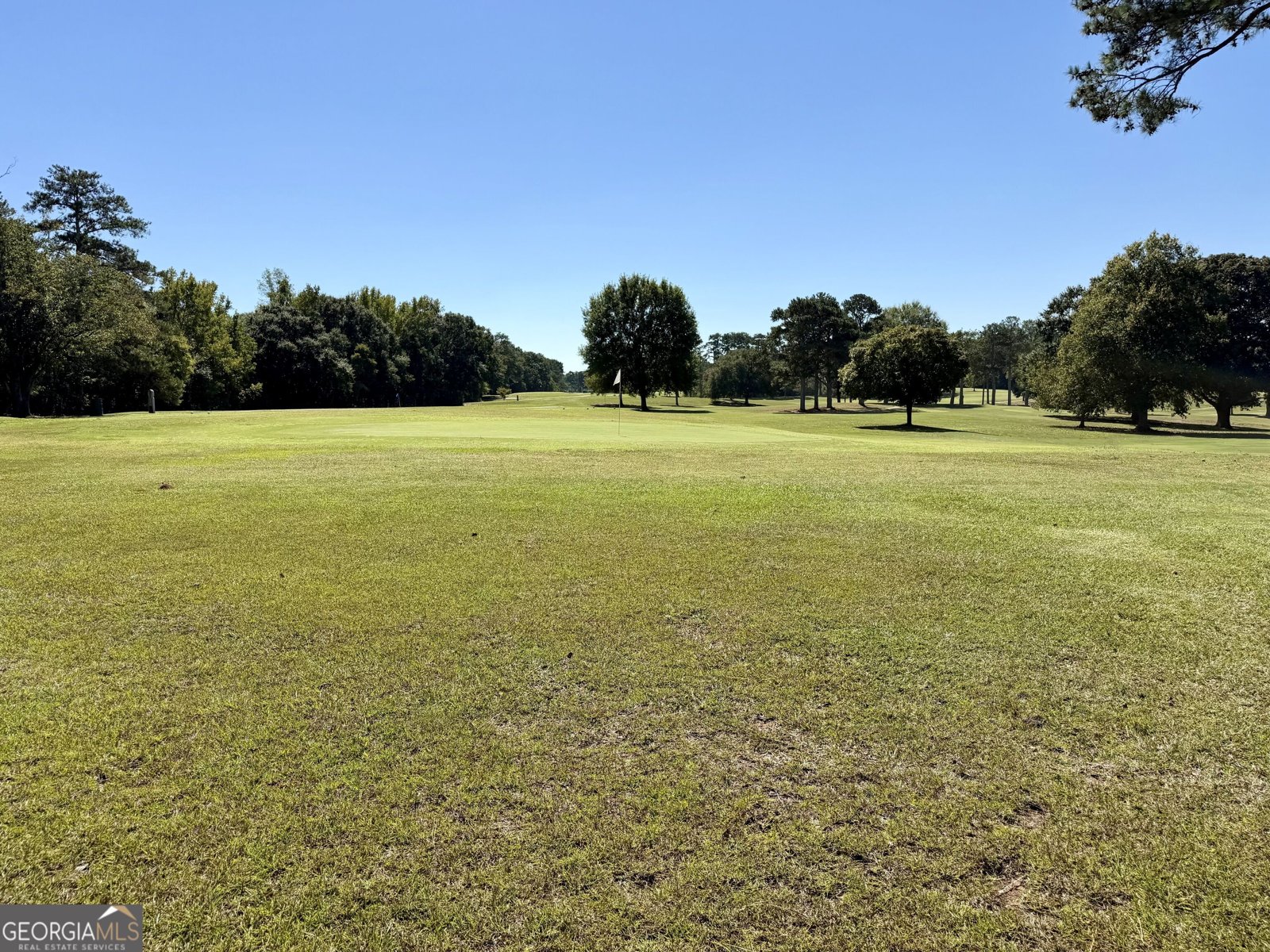 1231 Golf Course Road Elberton - Photo 11