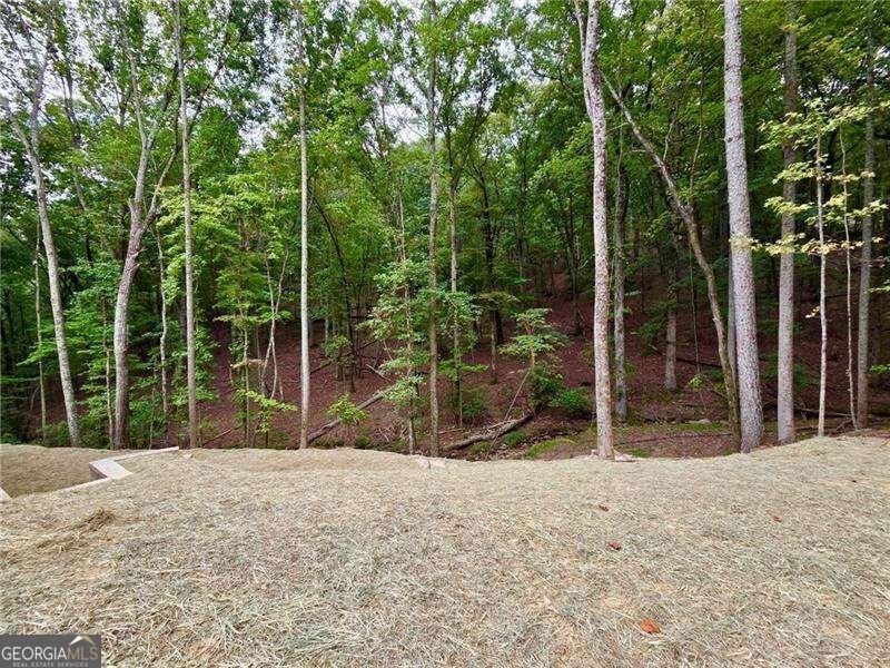 138 Lakewood Drive Waleska - Photo 16