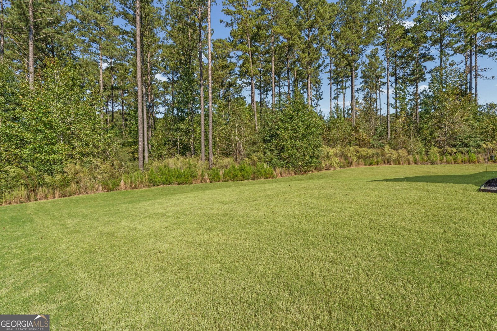 39 Wellborn Drive Newnan - Photo 40