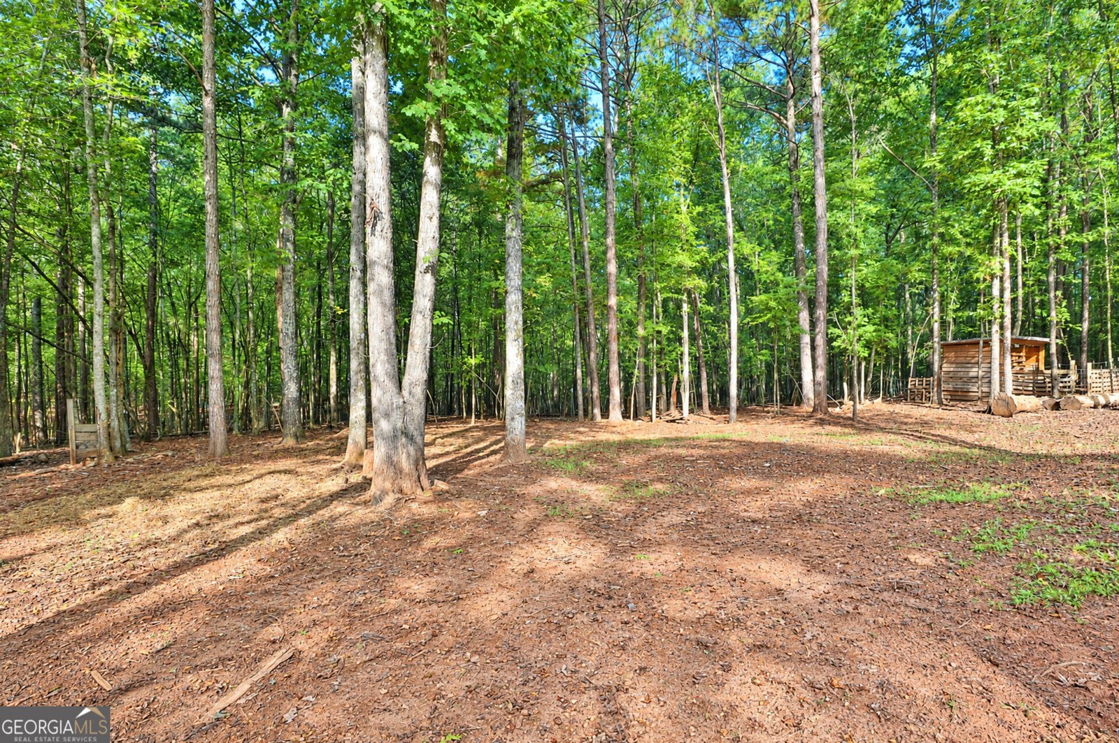 269 Grooms Road Fayetteville - Photo 62
