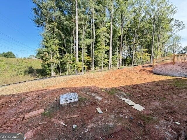 290 Wilbanks Street Buford - Photo 17