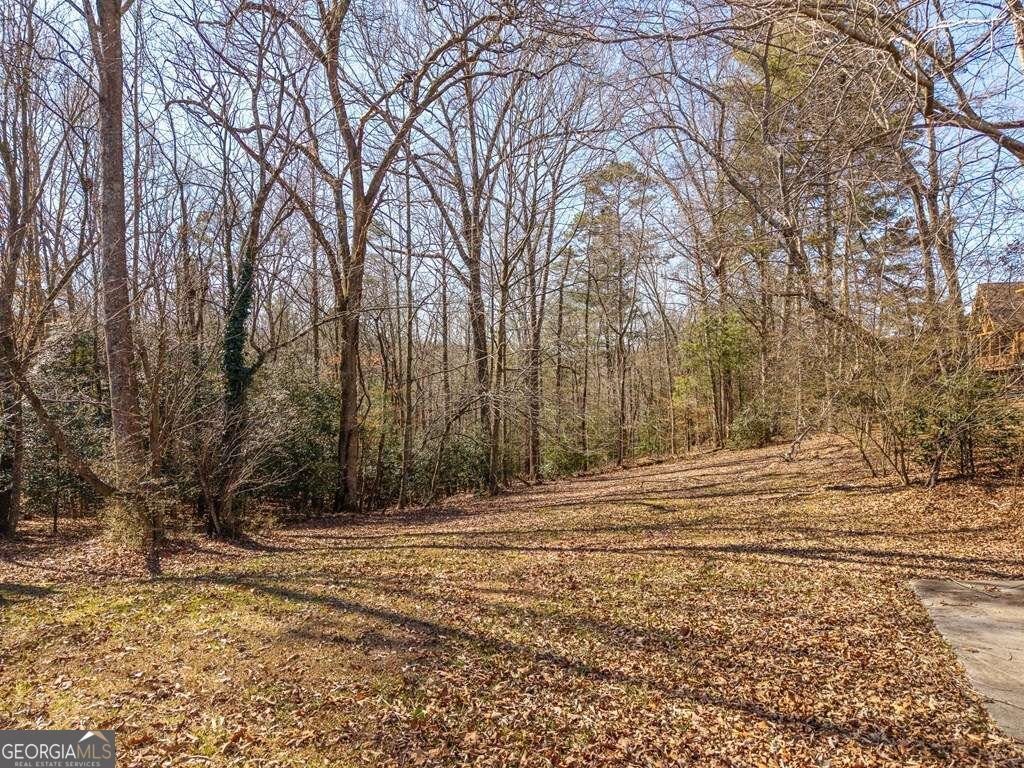 2164 Yukon Road Ellijay - Photo 12