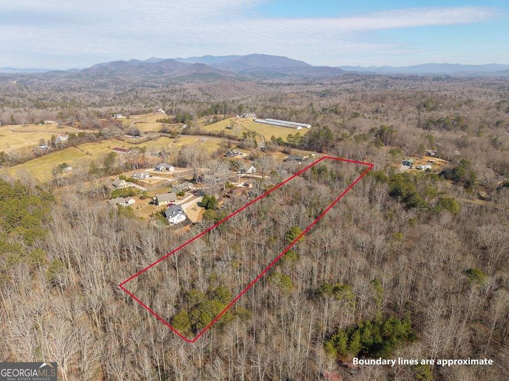 2164 Yukon Road Ellijay - Photo 17