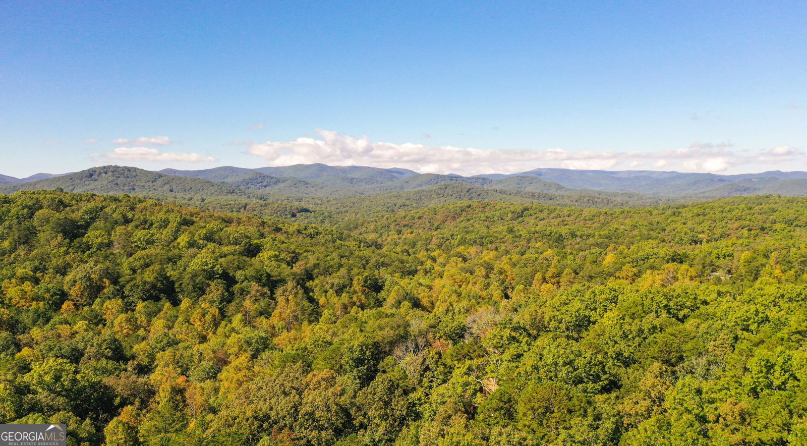 1605 Sunrock Mountain Road Blue Ridge - Photo 76