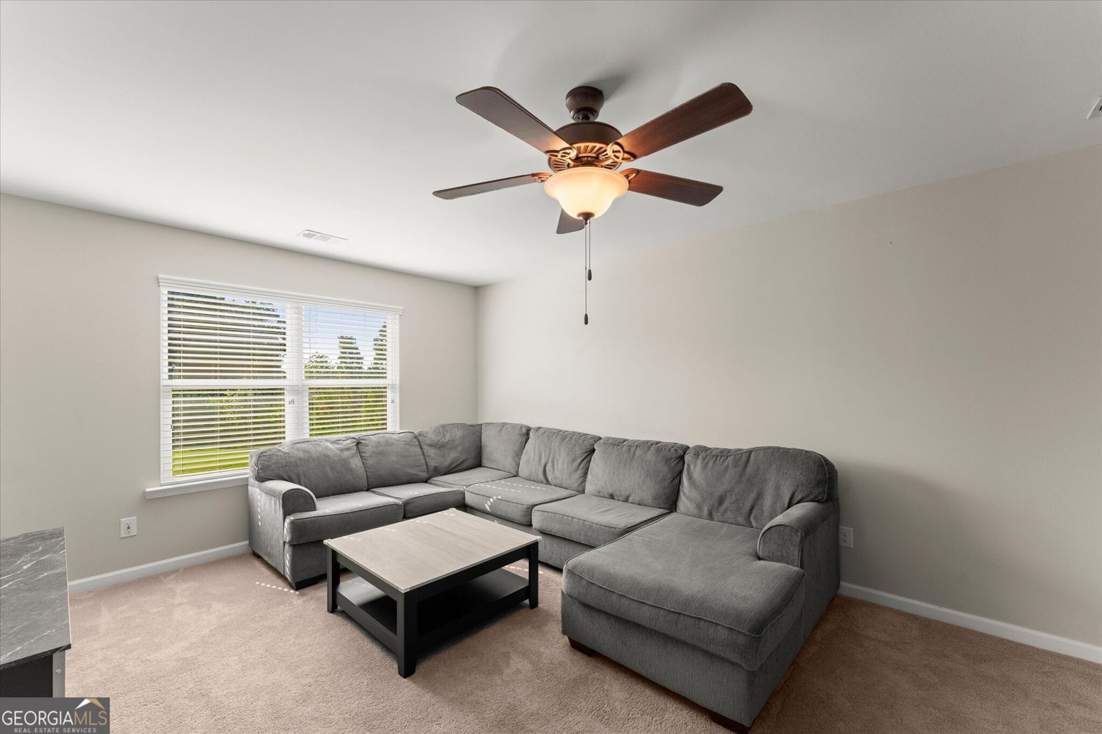 208 Walnut Ridge Road Canton - Photo 36