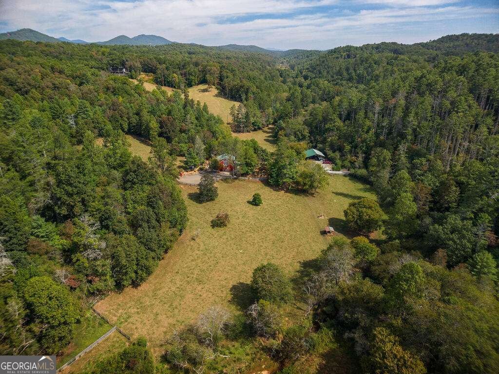 619 Youngstone Drive Mineral Bluff - Photo 14