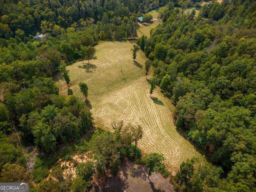 619 Youngstone Drive Mineral Bluff - Photo 18