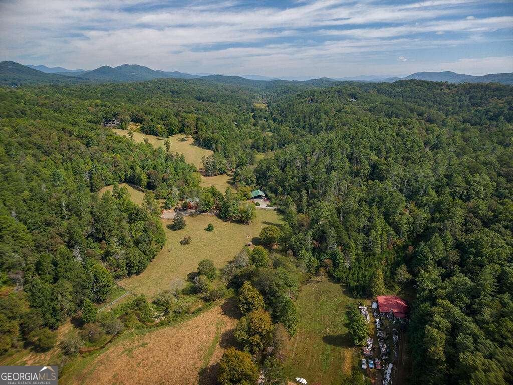 619 Youngstone Drive Mineral Bluff - Photo 7