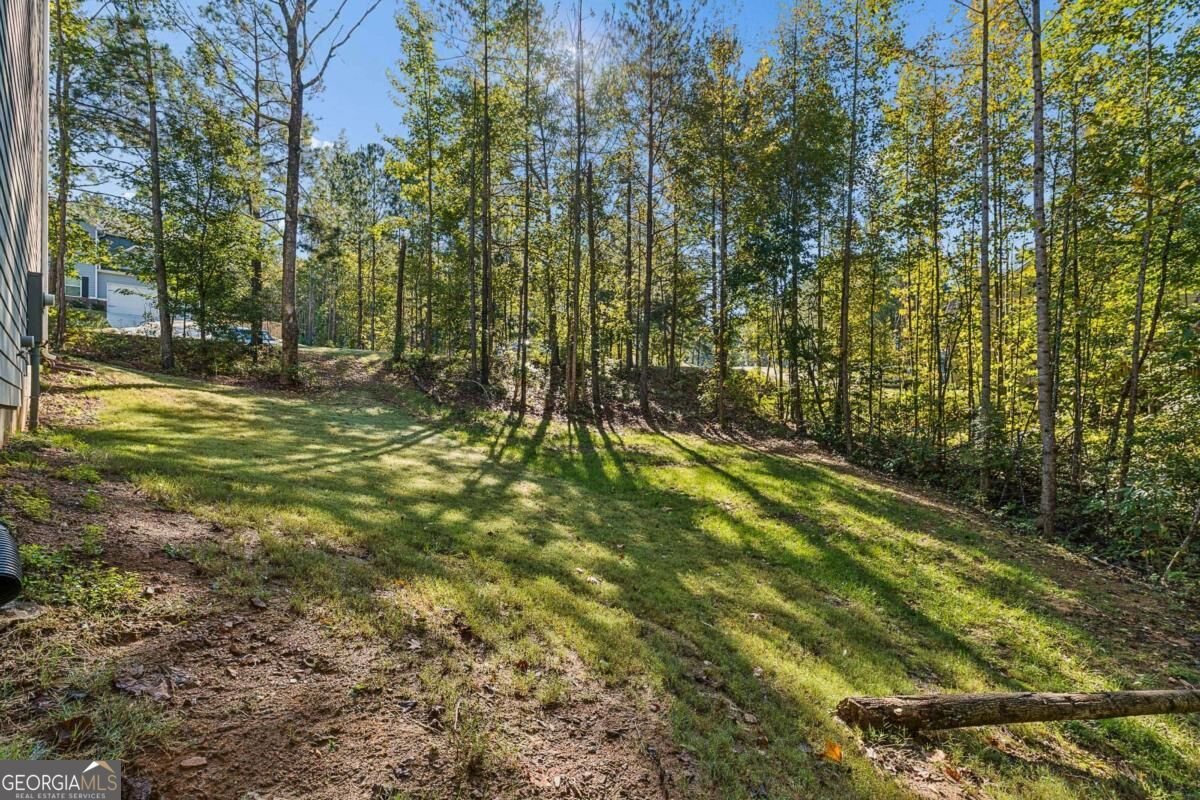 455 Ajo Way Dallas - Photo 34