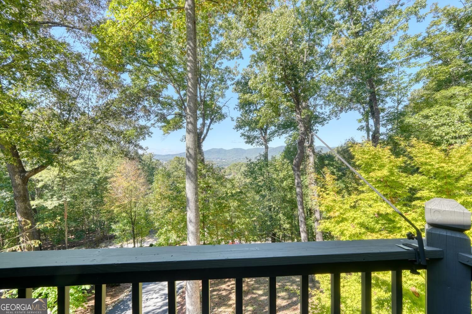 288 Sunny View Drive Blairsville - Photo 33