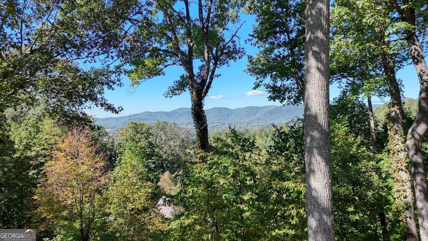 288 Sunny View Drive Blairsville - Photo 34