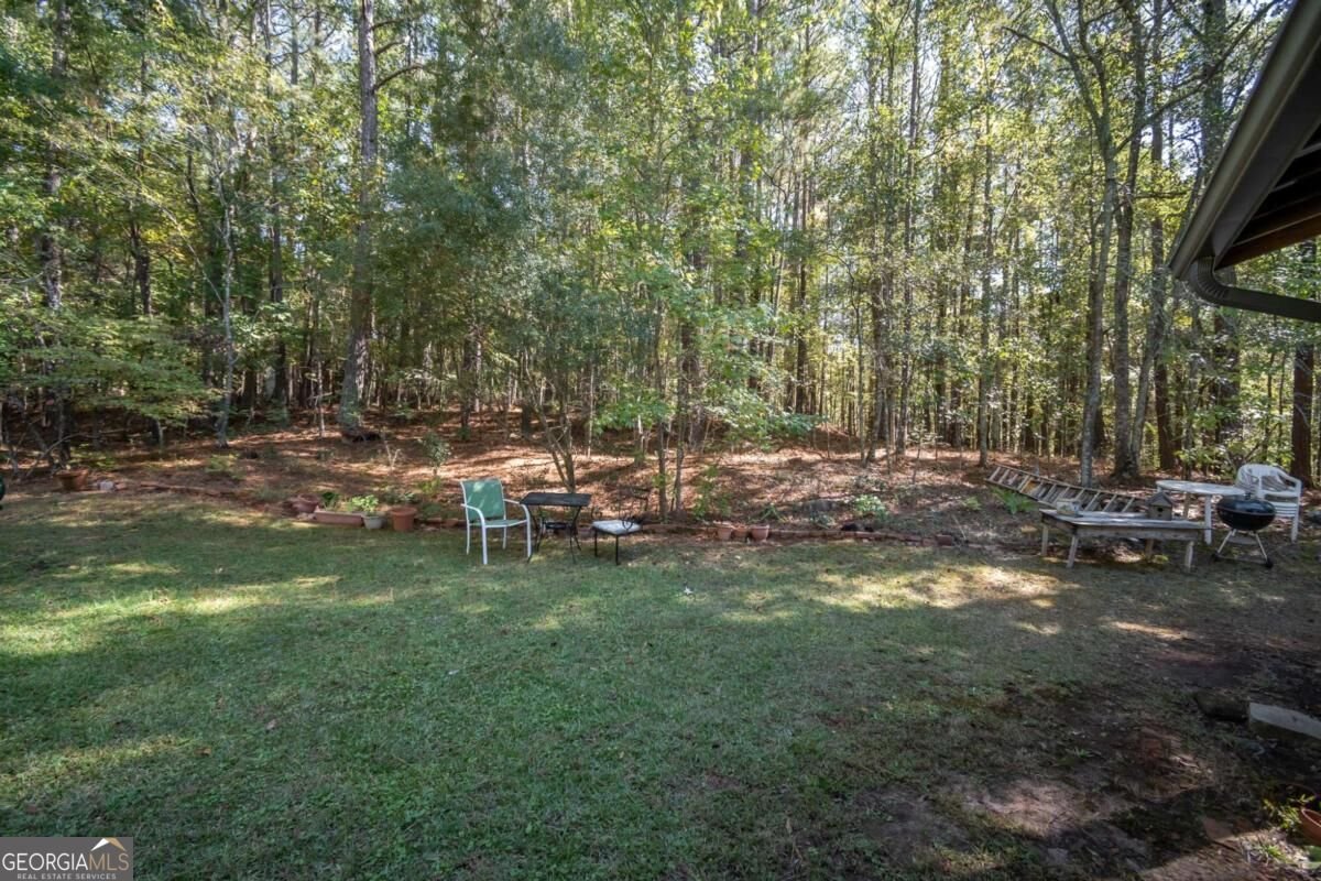 1550 Branch Road Bishop - Photo 41