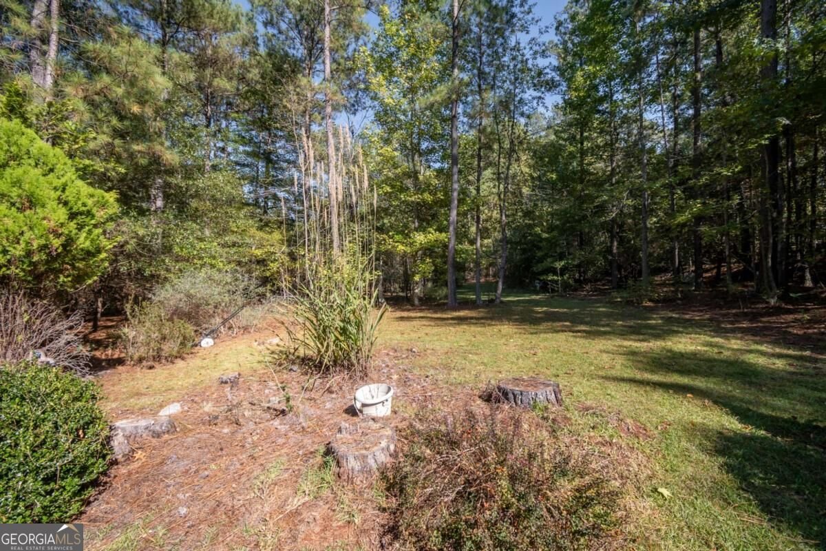 1550 Branch Road Bishop - Photo 43