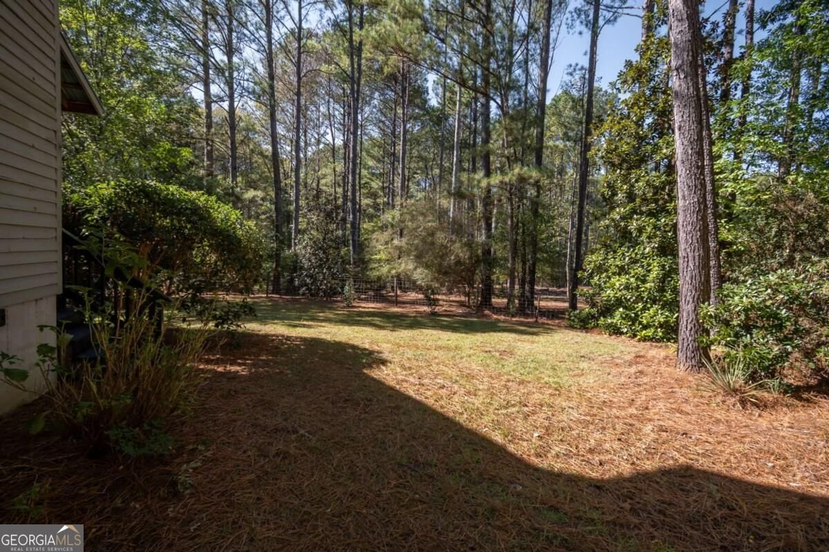 1550 Branch Road Bishop - Photo 44