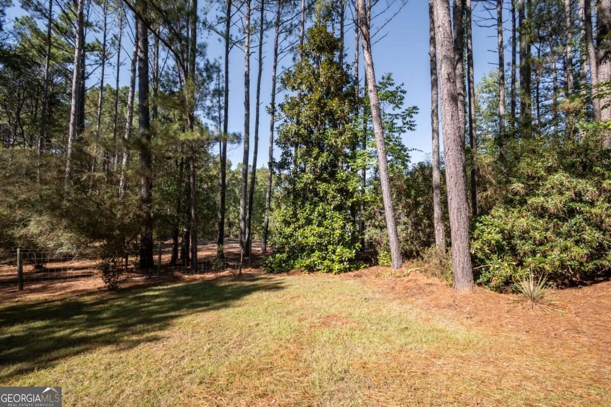 1550 Branch Road Bishop - Photo 45