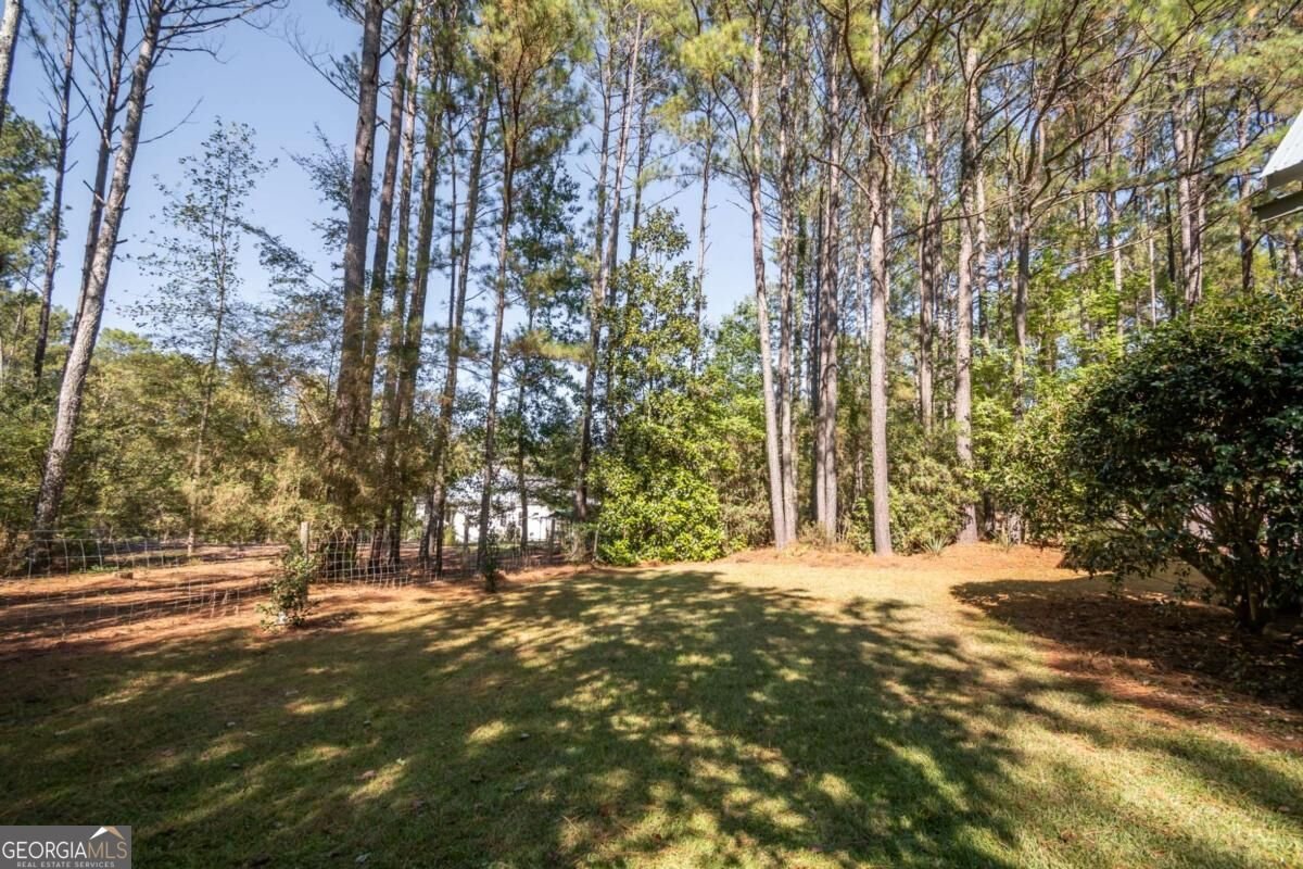 1550 Branch Road Bishop - Photo 46