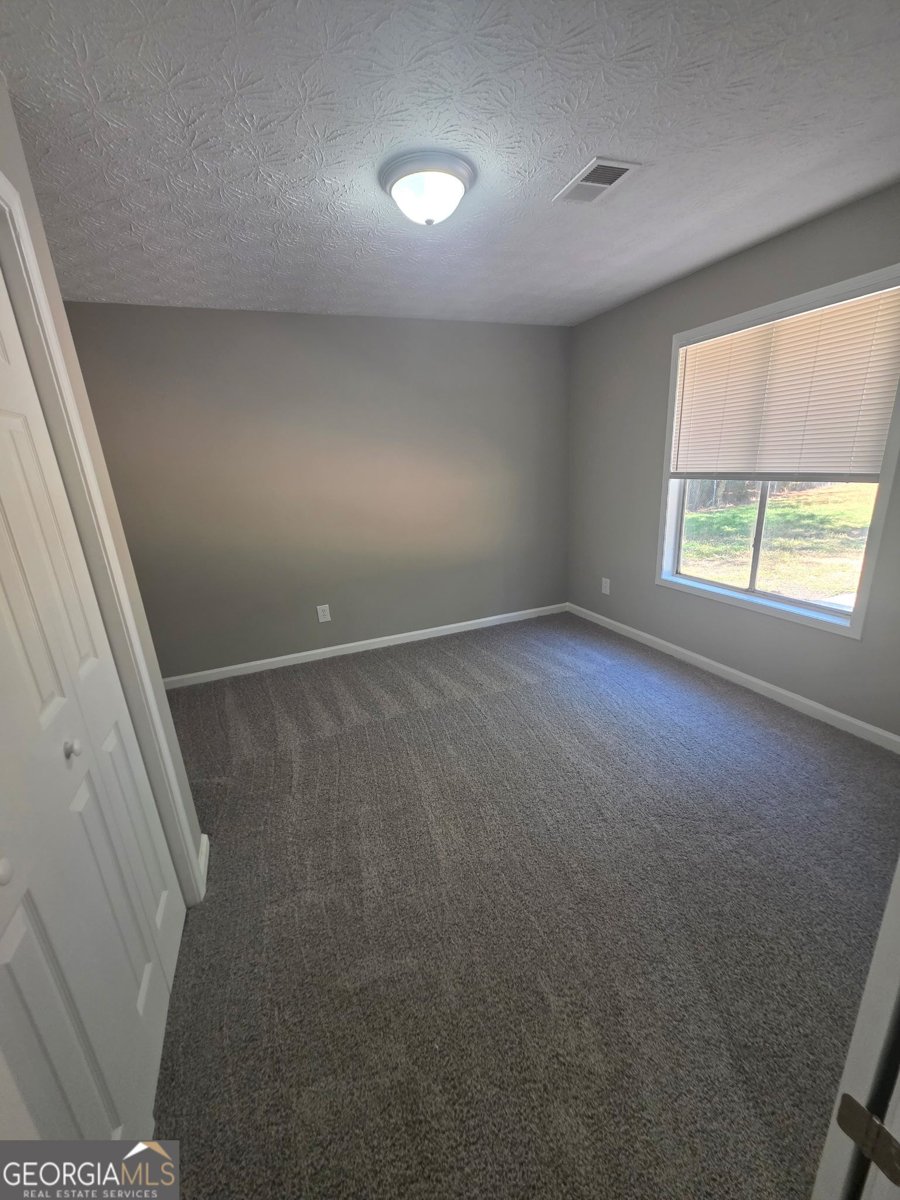 3555 Irvin Drive Loganville - Photo 12