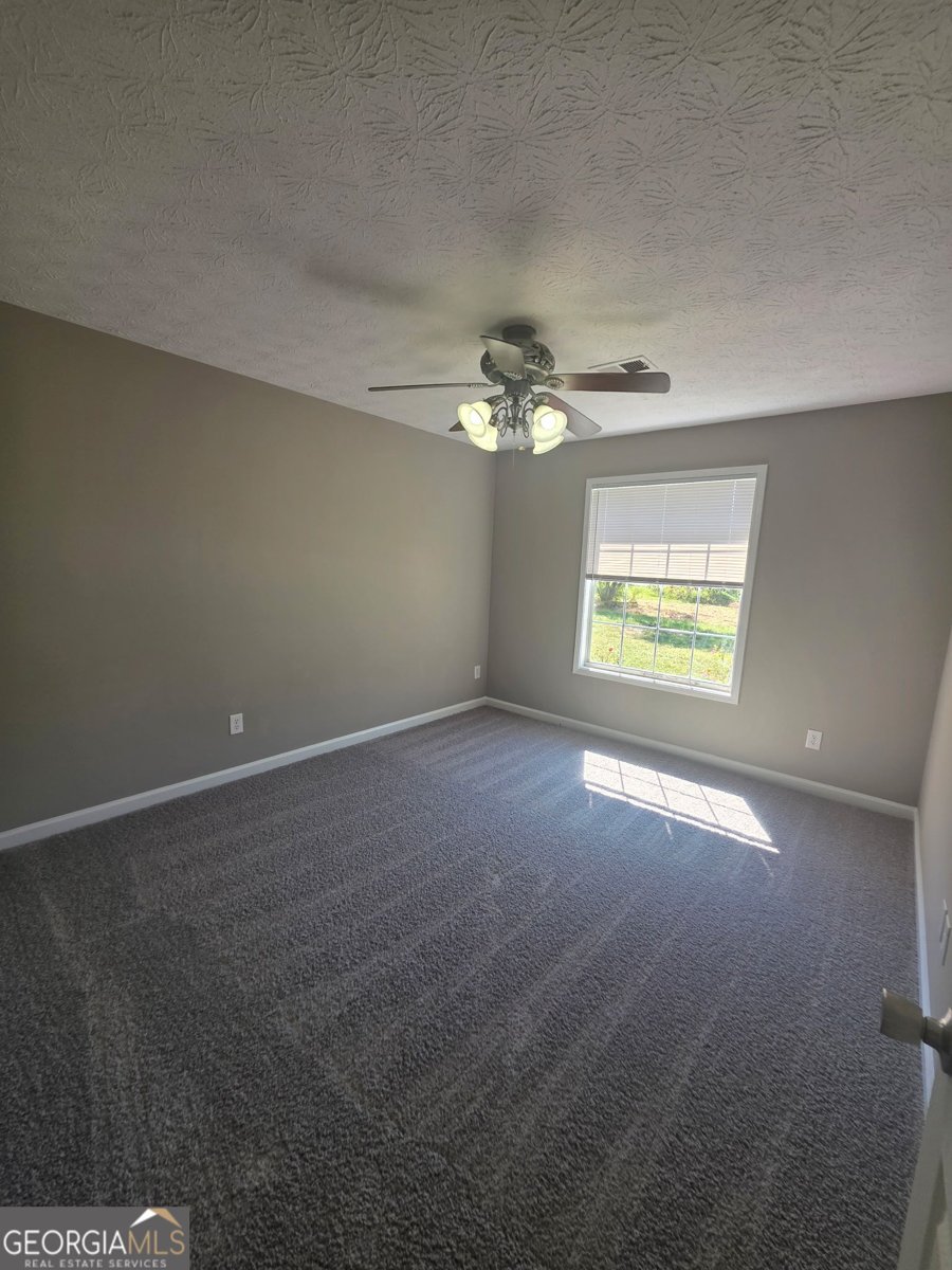 3555 Irvin Drive Loganville - Photo 13