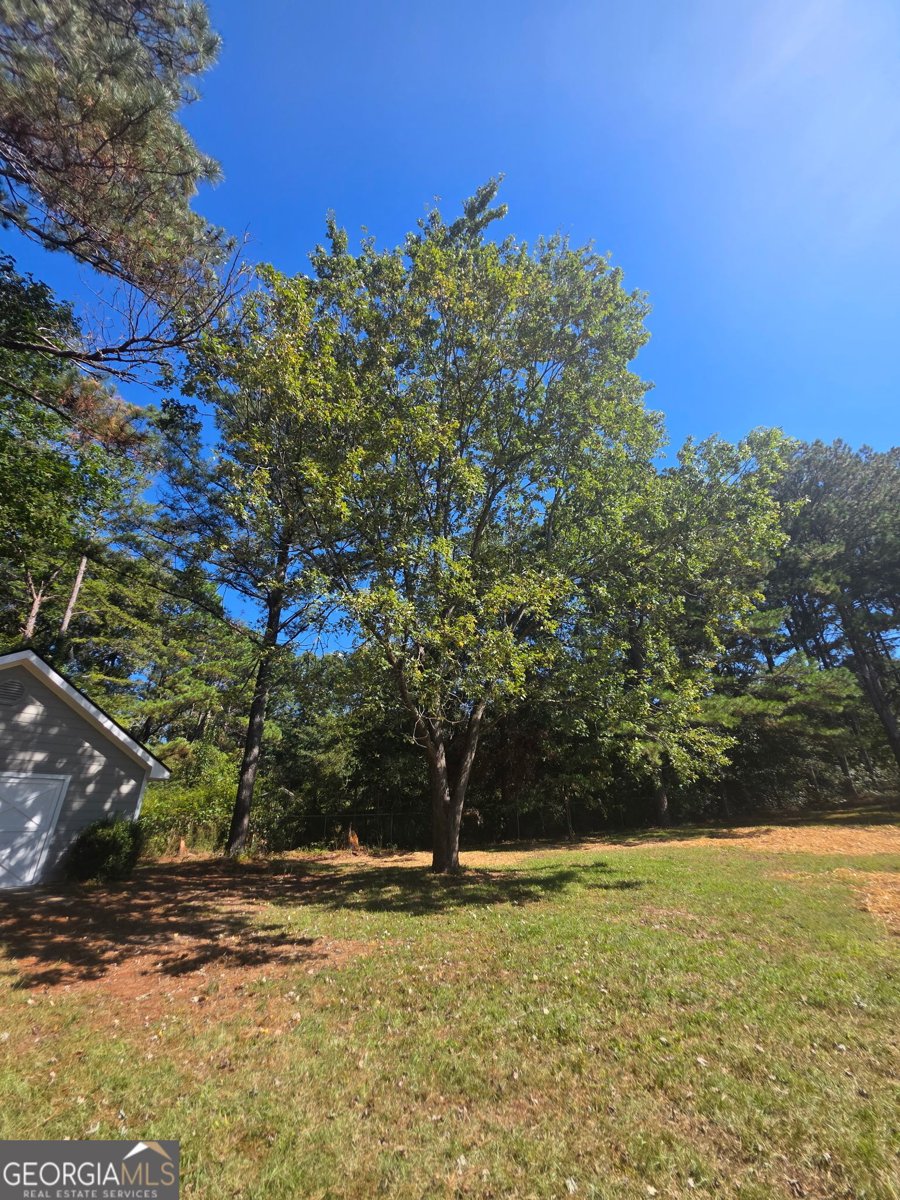 3555 Irvin Drive Loganville - Photo 19