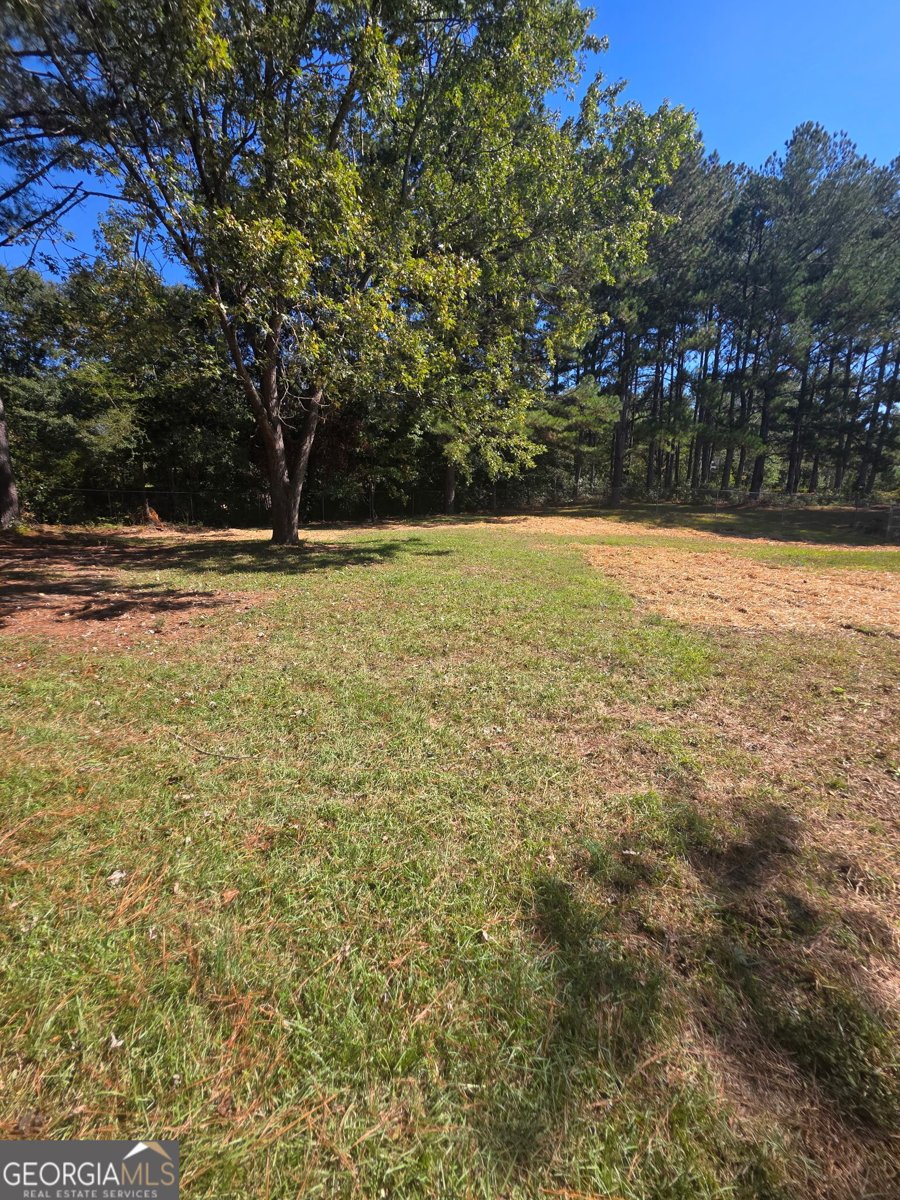 3555 Irvin Drive Loganville - Photo 21
