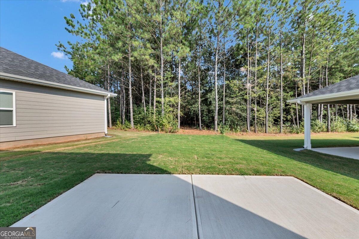 207 Laney Drive Carrollton - Photo 31