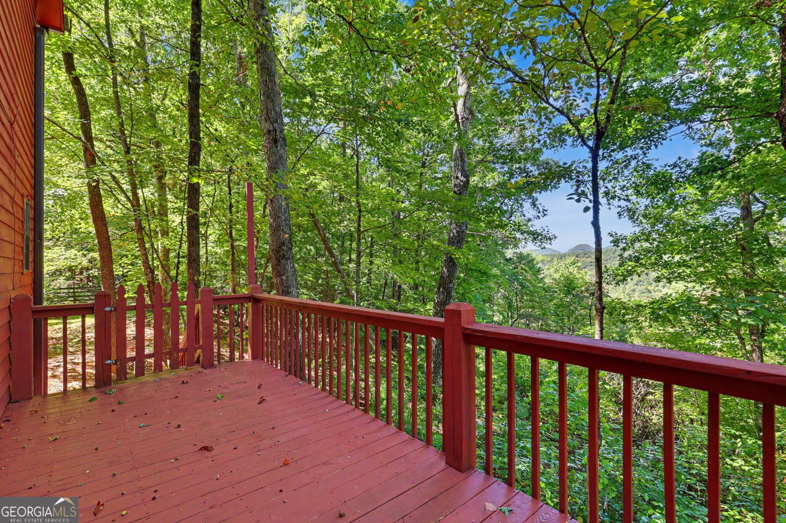 618 Bent Laurel Ridge Road Clayton - Photo 21
