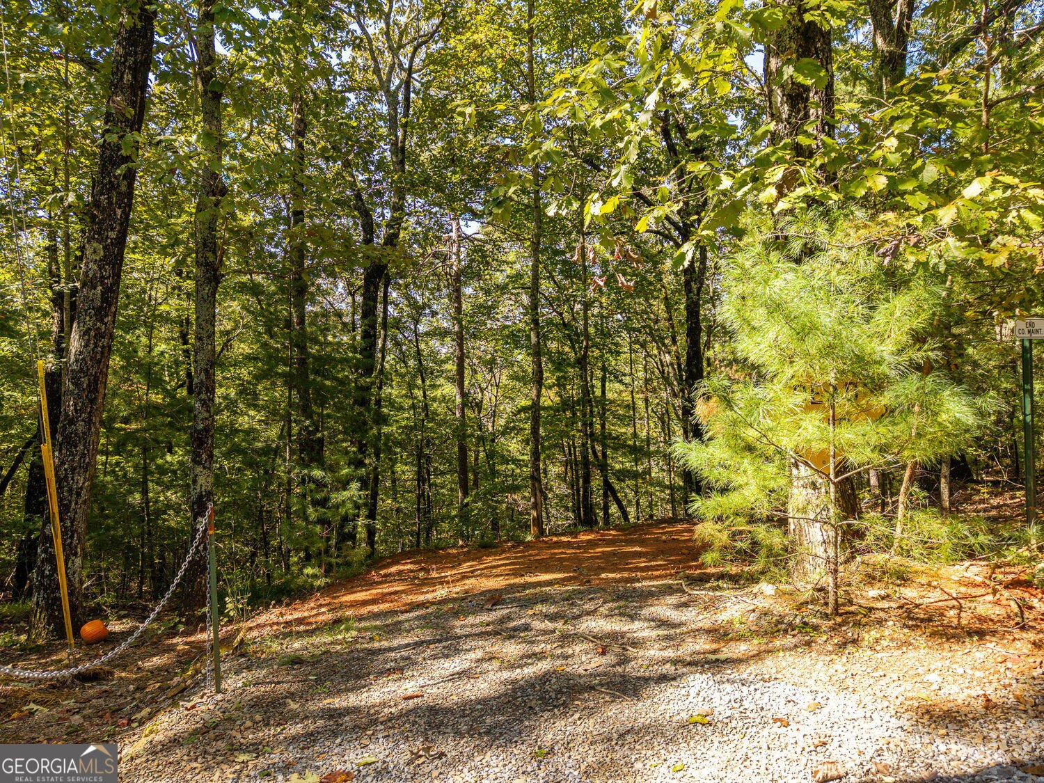 638 Abbott Top Road Ellijay - Photo 10