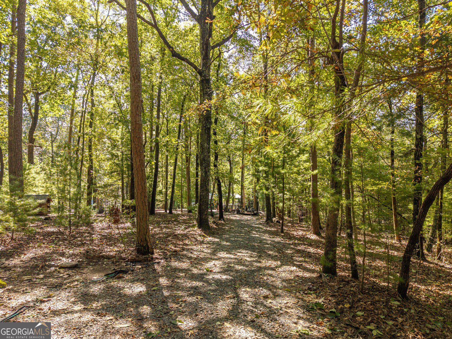 638 Abbott Top Road Ellijay - Photo 17